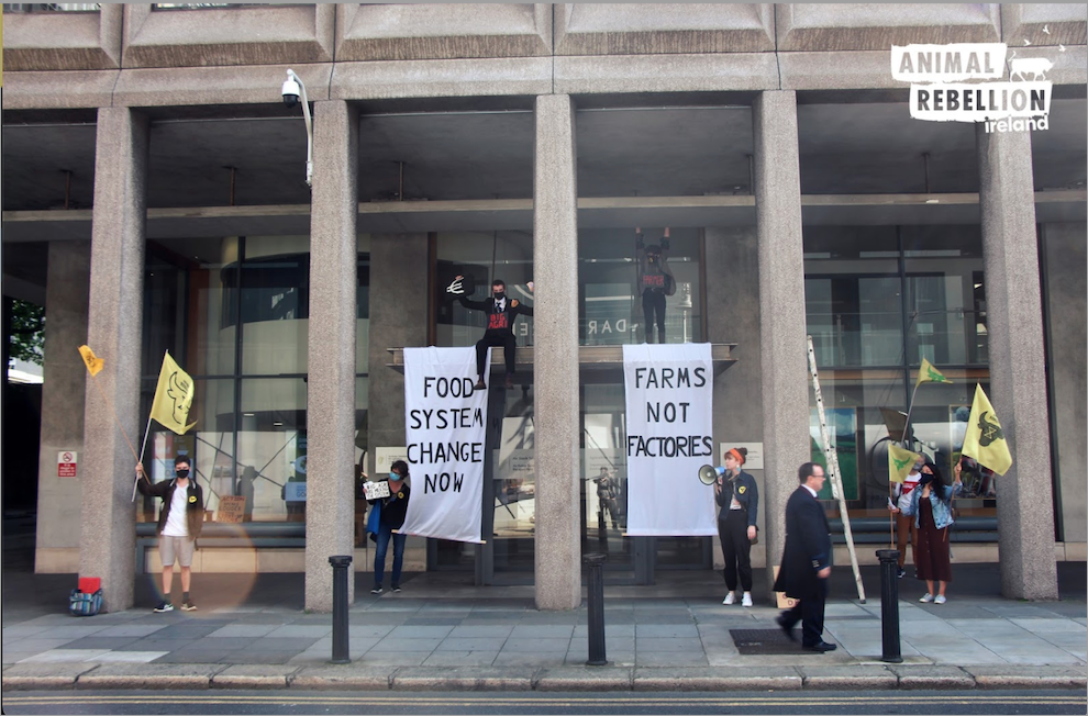 A photo from Animal Rebellion Ireland showing protestors holding flags and two banners outside an official building. The banners read: 'Food System Change Now' and 'Farms Not Factories'.