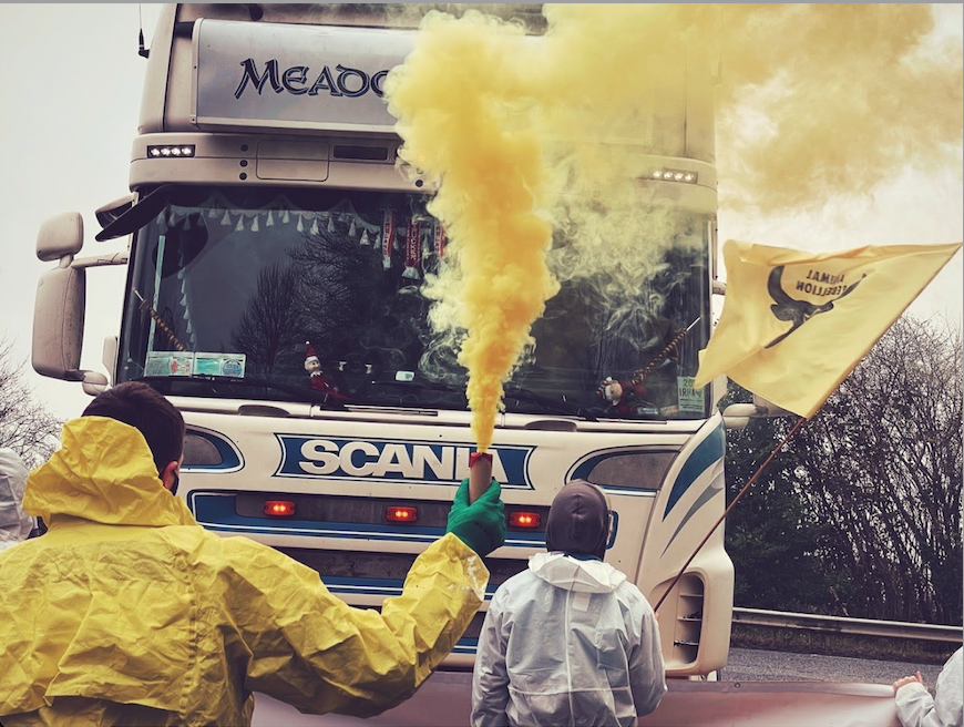 Two protestors block a large coach bus on the road: one on the left is wearing a bright yellow rain jacket and holding a small torch with neon yellow smoke coming out, while the one on the right raises a yellow-and-black Animal Rebellion flag.