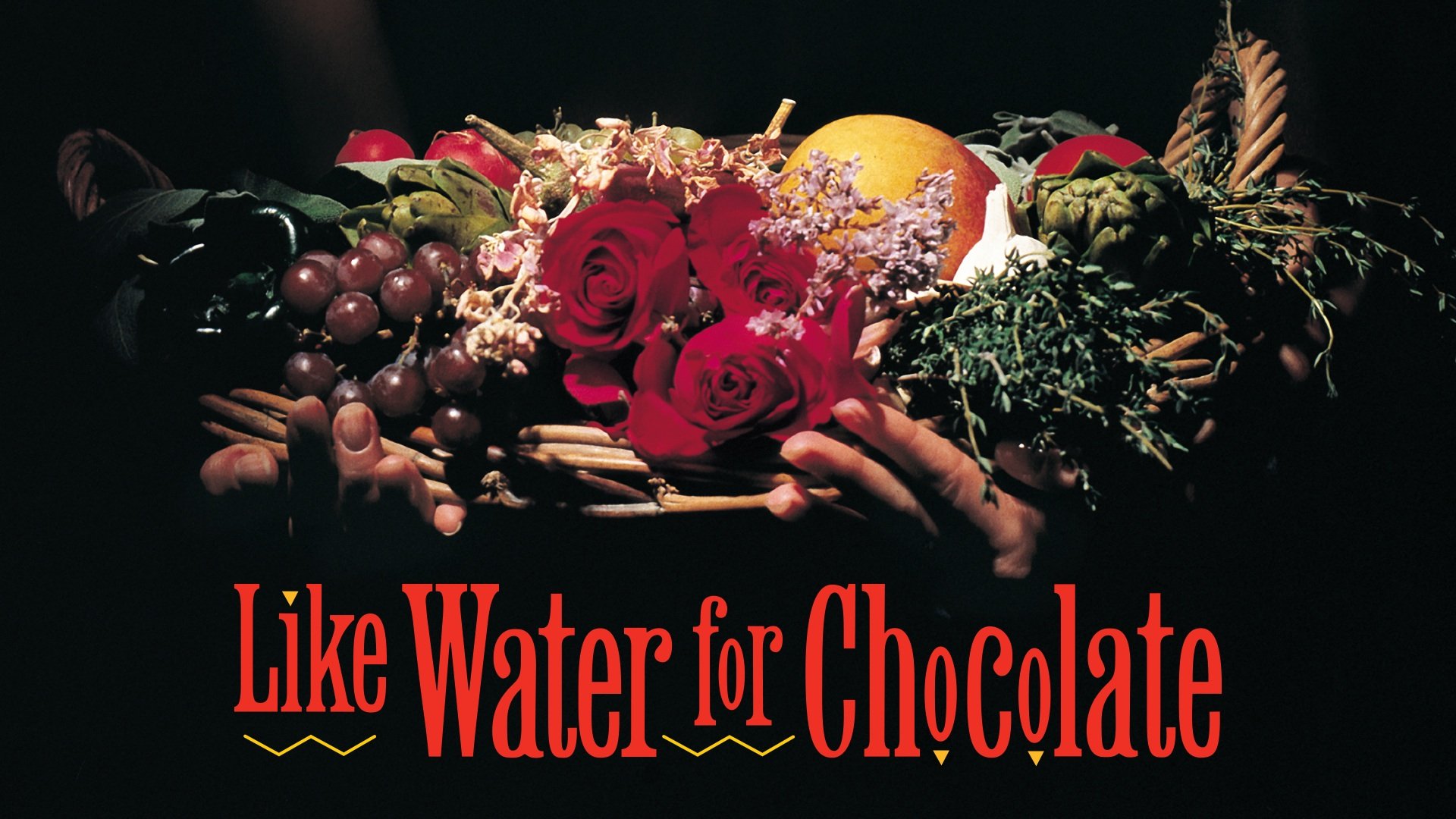 magical realism in like water for chocolate