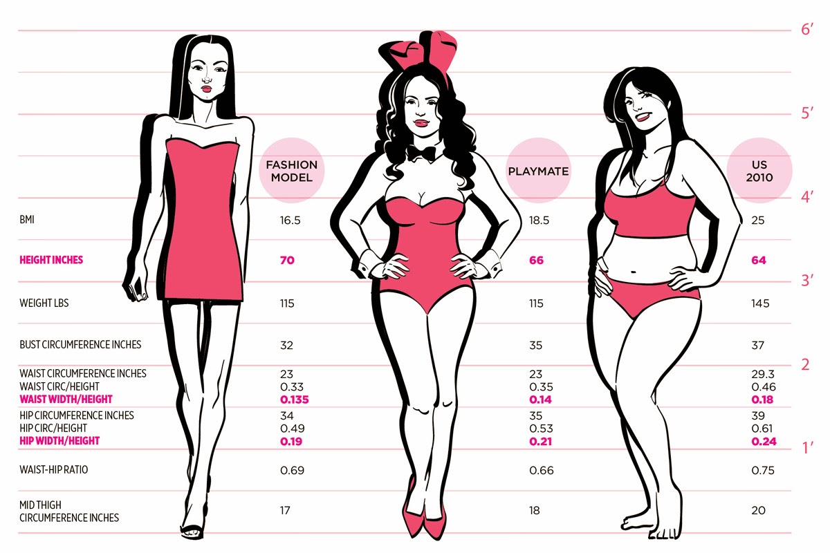 chart showing different body types