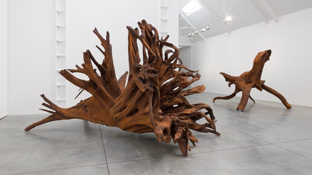 Ai Weiwei: Roots - Cherwell