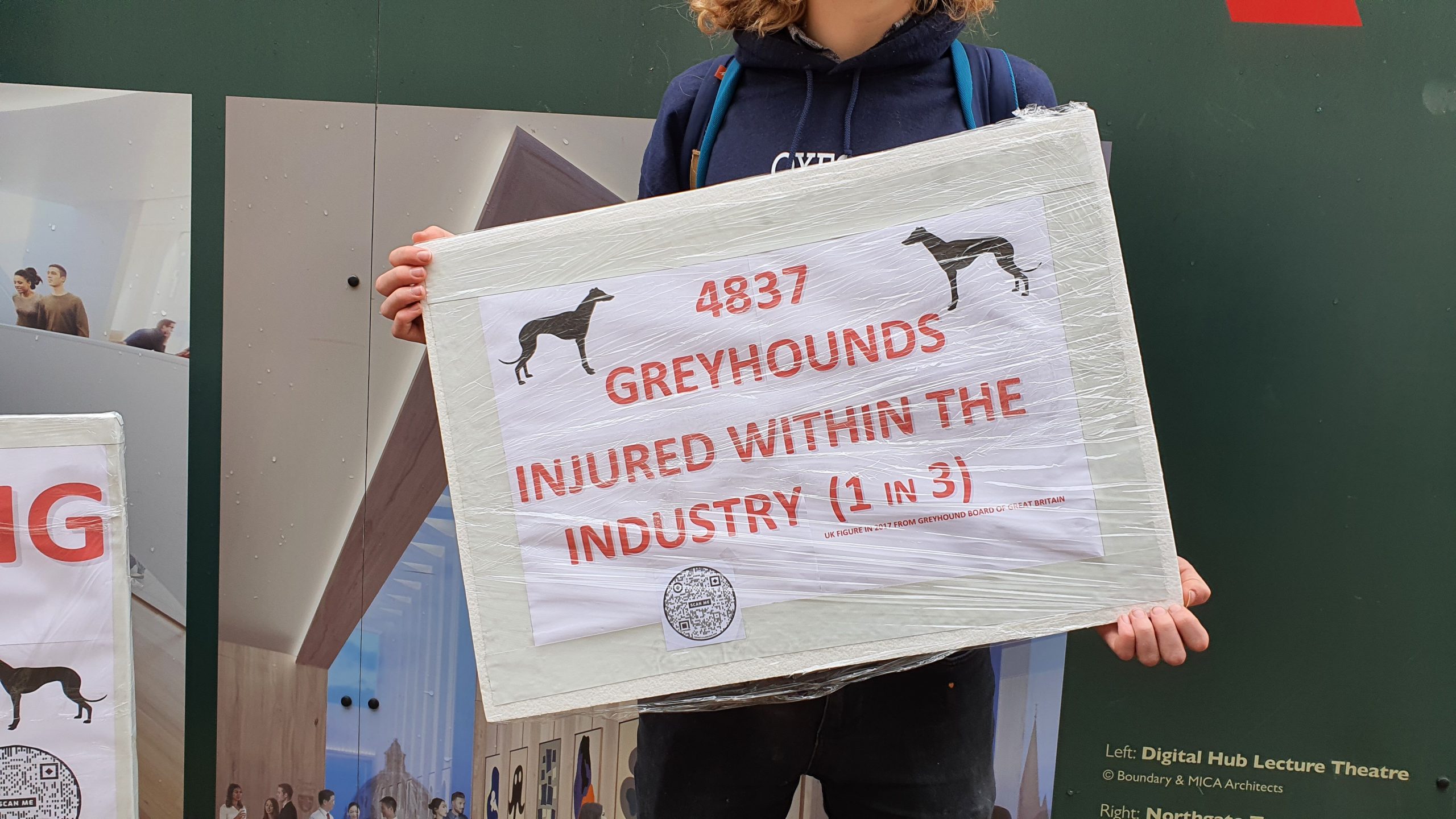 A protester colds a sign reading "4837 greyhounds injured within the industry (1 in 3)".