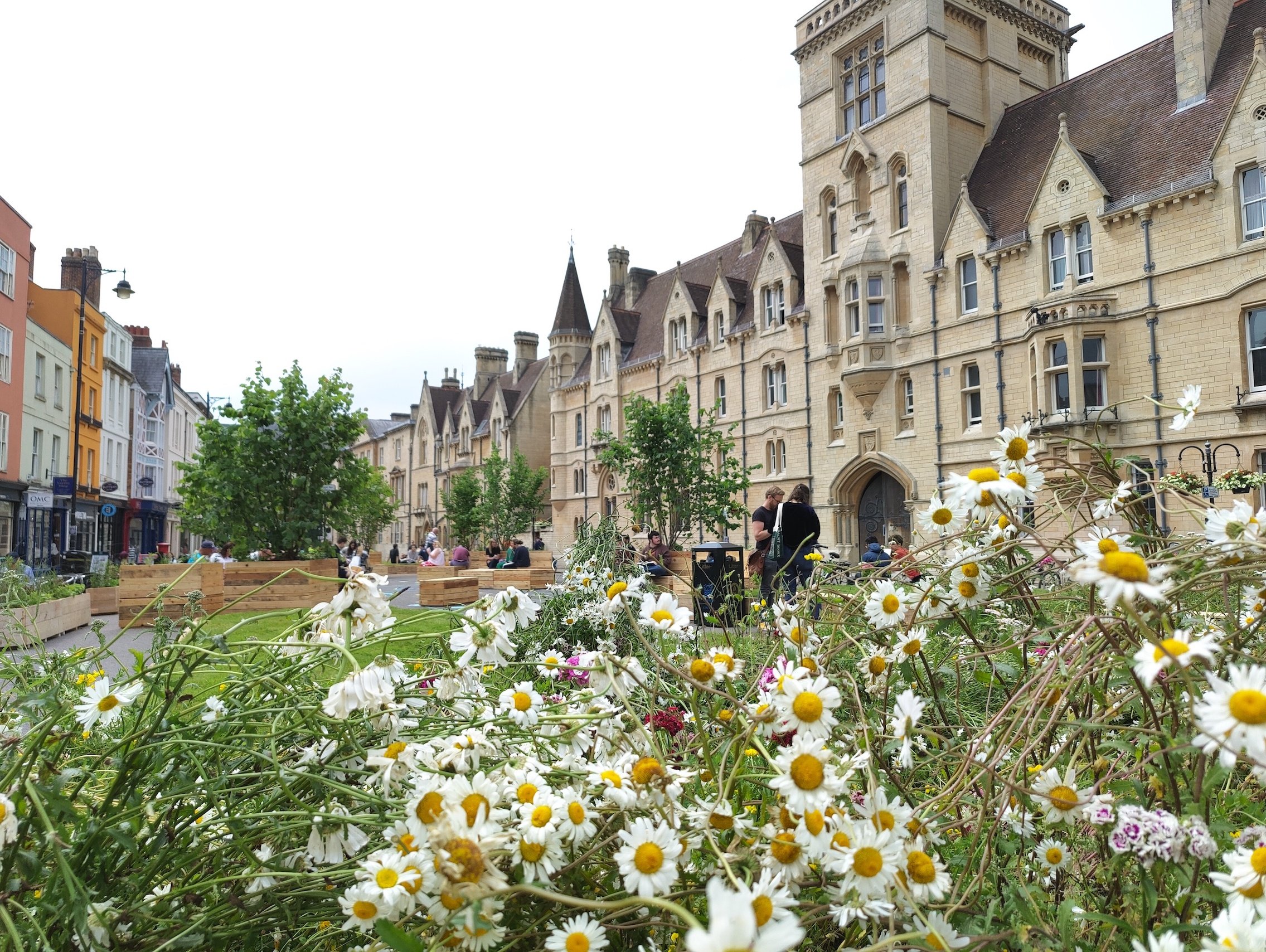 Flowers in front of Balliol College