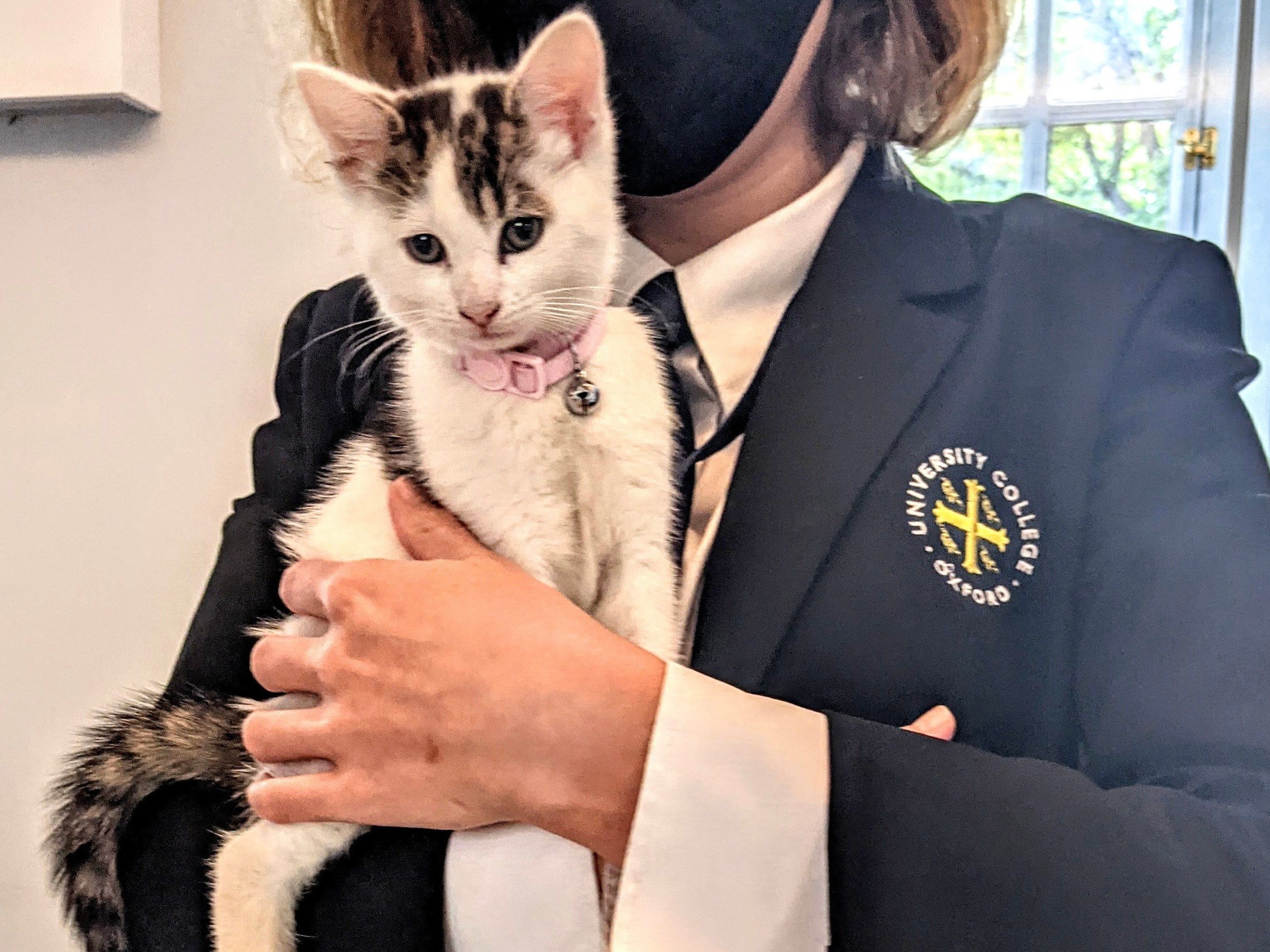 A white kitten with tabby markings is held by a University College porter