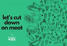 On the left is written "let's cut down meat" and the right side is filled with pictures of plant-based food. The background is green.