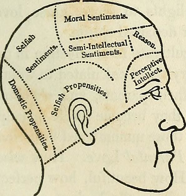Archaic Mind Diagram