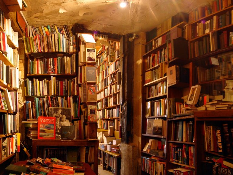 BookTok: The Last Page of the Publishing Industry?
