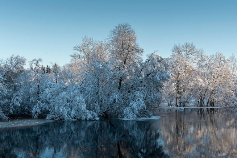 New Year’s Resolutions: In or Out?