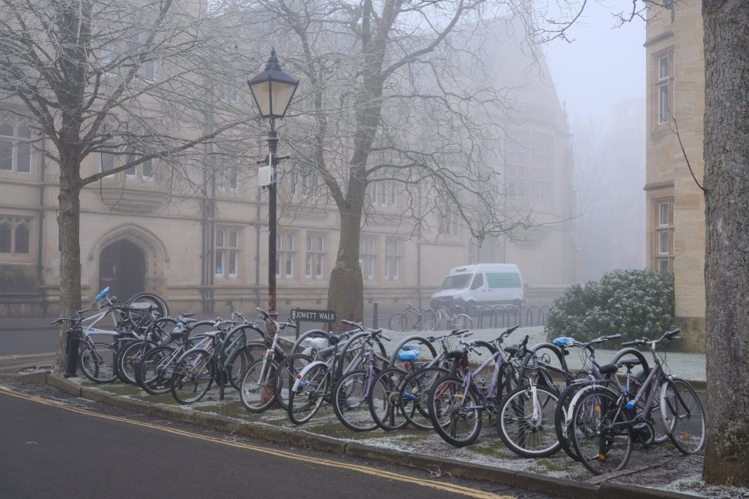 Bicycles parked on Jowett Walk.