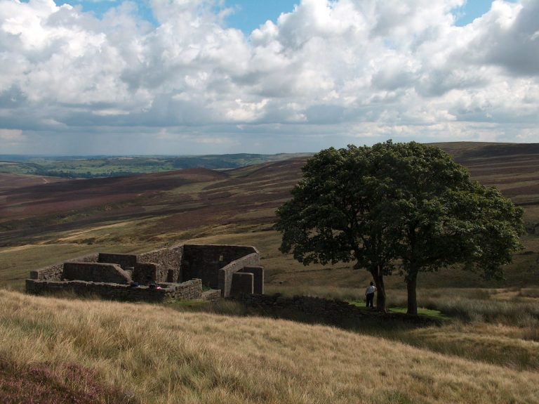 Missing the plot of ‘Wuthering Heights’: Is the book always better?