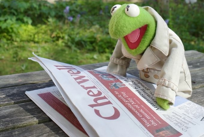 Student Spotlight: Oxford Kermit, social media sensation