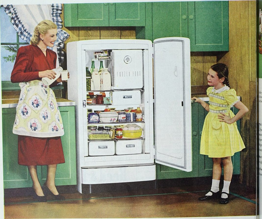 Household in which a mother and daughter stand by an open fridge full of ingredients.