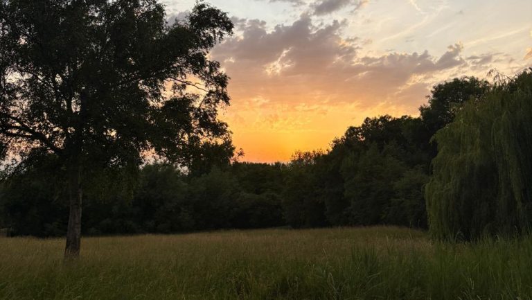 Grieving in Oxford: Tips from a bereaved student