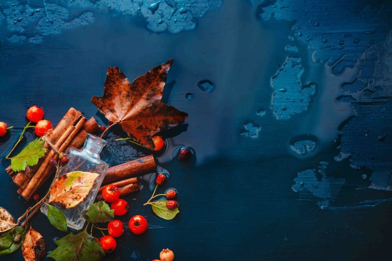 A Perfume Journey Through the Seasons