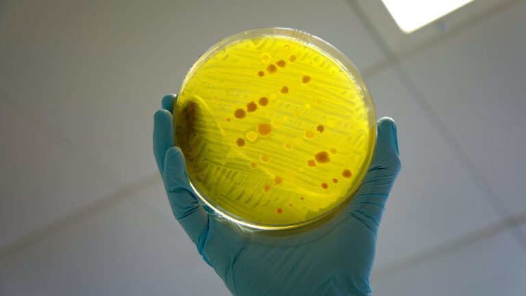 Oxford-led study develops ‘SimCells’ to target antimicrobial resistance
