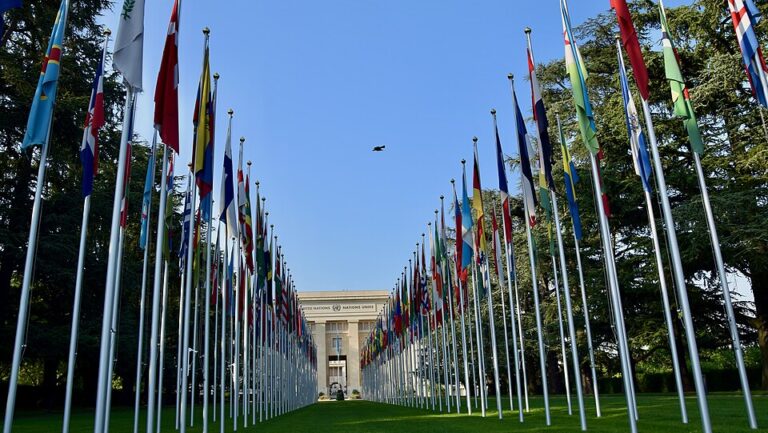 Oxford and UN launch peace and security fellowship