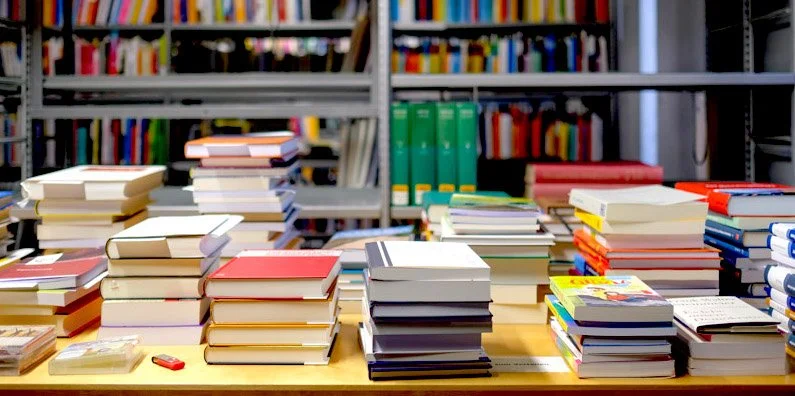 Booksmaxxing and the illusion of being “disgustingly educated”