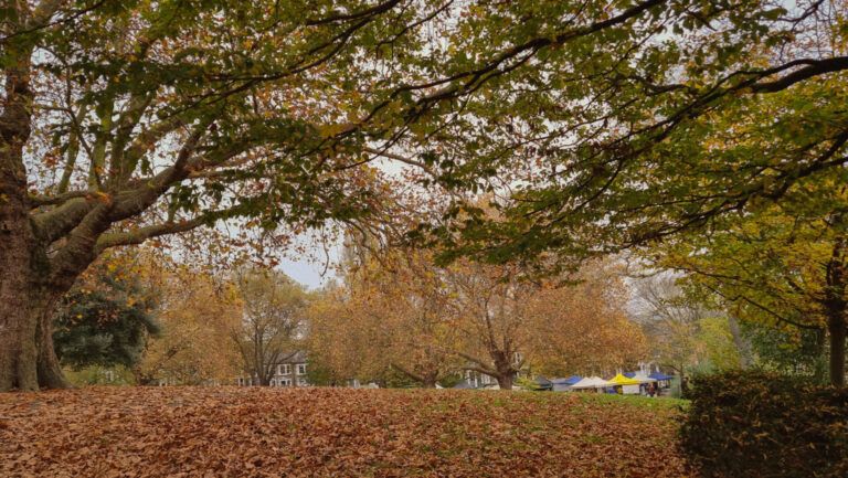 How cinema has taught us to see Autumn